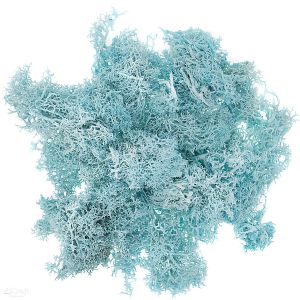 Mech naturalny dpCraft Turkusowy, 30g